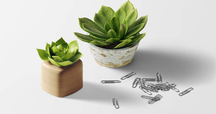 Accordion Slider 6 portfolio 1