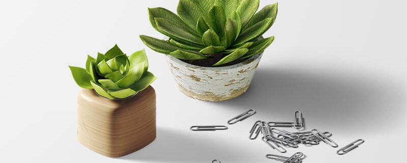 Entry with Post Format "Video" 1 portfolio 1